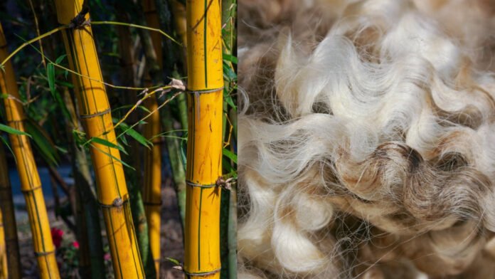 Circular Fashion and the Growth of Bamboo Textiles