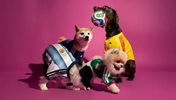 Adidas Launches FIFA World Cup 2026 Pet Jerseys