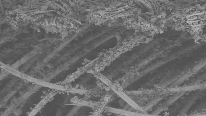 DITF Develops Textile Filter to Capture Microplastics from Laundry